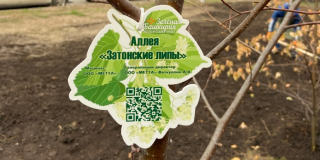 ГК МЕТТА выступила меценатом создания аллеи «Затонские липы» в Уфе